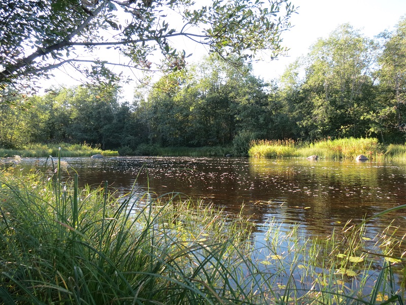sIMG_6673.jpg