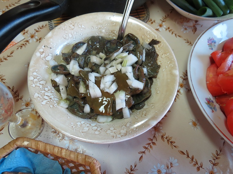 sIMG_6877.jpg sIMG_6877.jpg