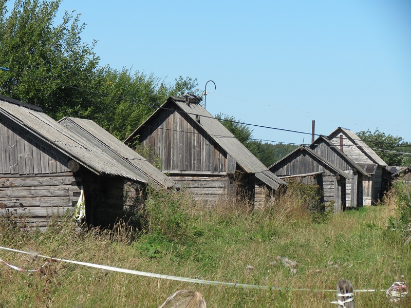 sIMG_6582.jpg sIMG_6582.jpg