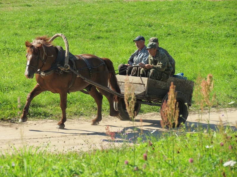 sIMG_6965.jpg sIMG_6965.jpg